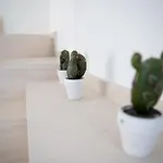 Casa Malaga *