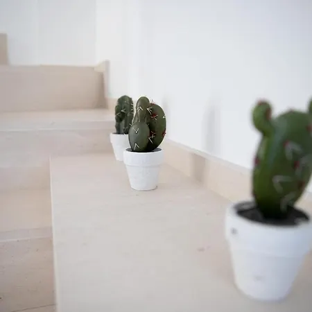 Casa Malaga *